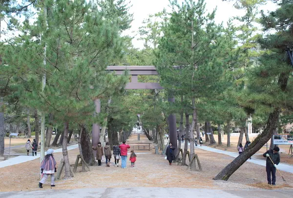 出雲大社の写真・動画_image_18451