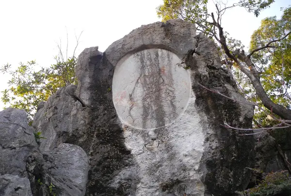 明星輪寺の写真・動画_image_20442