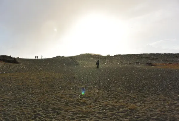 中田島砂丘の写真・動画_image_20736