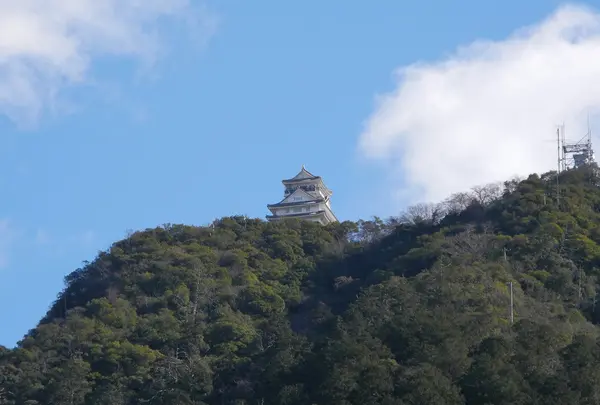 そのまま岐阜公園に進みますの写真・動画_image_20882