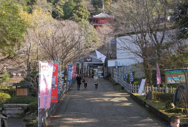 そのまま岐阜公園に進みますの写真・動画_image_20883