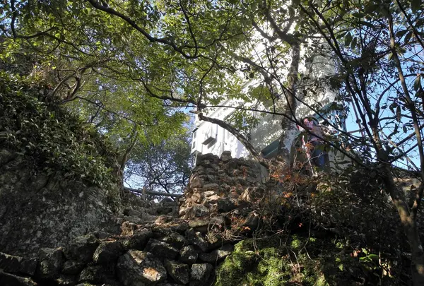今回の登山道入口はこちらからの写真・動画_image_20888