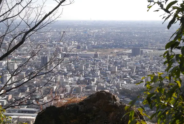 金華山ドライブコースを歩くの写真・動画_image_20909