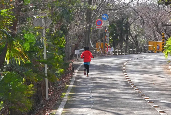金華山ドライブコースを歩くの写真・動画_image_20912