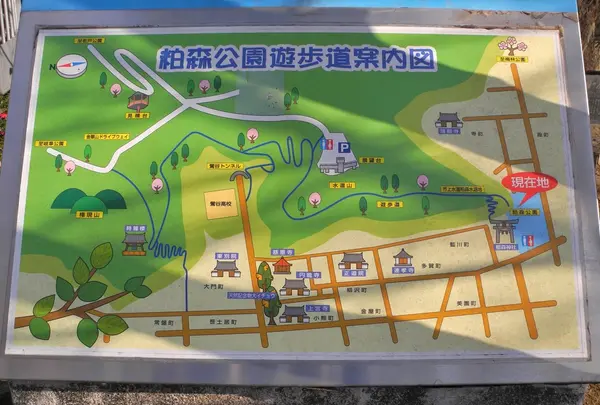 粕森公園の写真・動画_image_20916