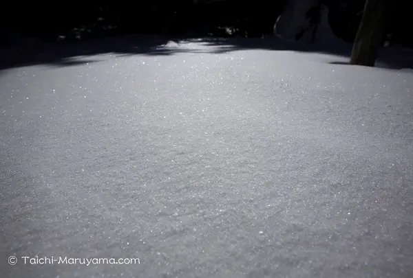 乗鞍高原の写真・動画_image_20930