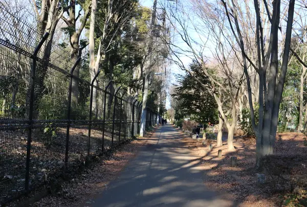 三鷹駅の写真・動画_image_21243