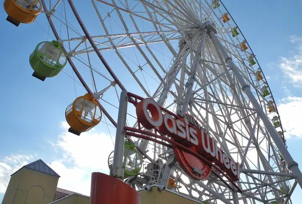 オアシスパークの写真・動画_image_21655