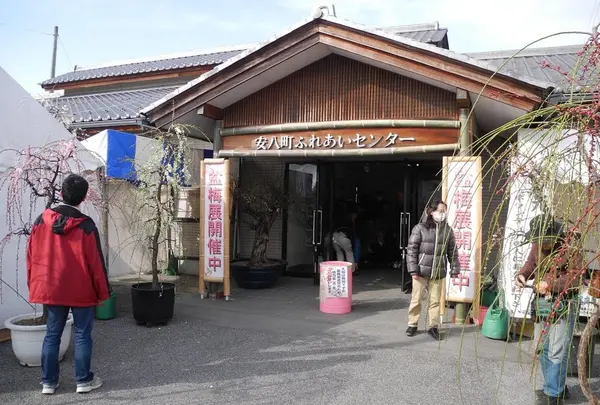 安八百梅園の写真・動画_image_22231