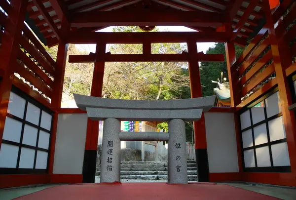大縣神社の写真・動画_image_24729