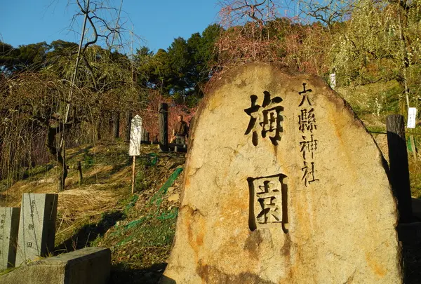 大縣神社の写真・動画_image_24733
