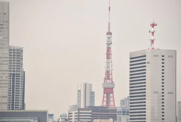 晴海ふ頭公園の写真・動画_image_26421