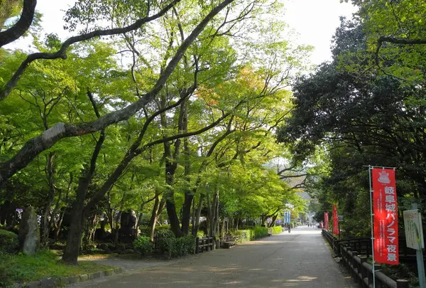 岐阜公園の写真・動画_image_27020