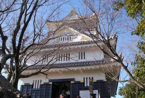 岐阜城の写真・動画_image_27022