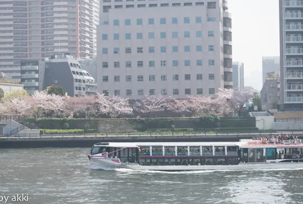 聖路加ガーデンの写真・動画_image_27220