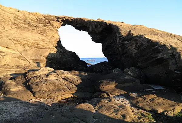 城ヶ島灯台公園の写真・動画_image_28834