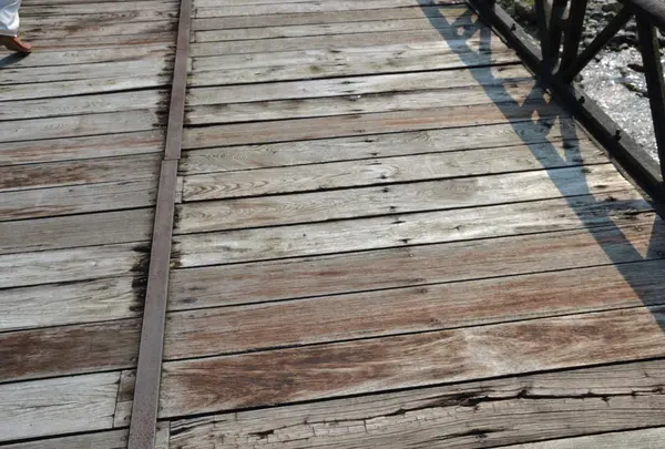 神子畑鋳鉄橋の写真・動画_image_39628