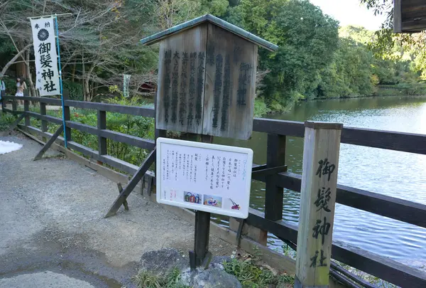 嵯峨野竹林の写真・動画_image_49796