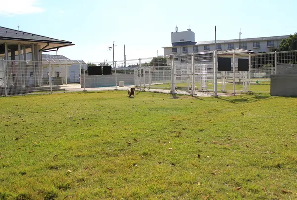 ホテル ビワ ドッグの写真・動画_image_50358