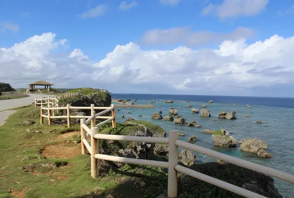 東平安名崎の写真・動画_image_52876