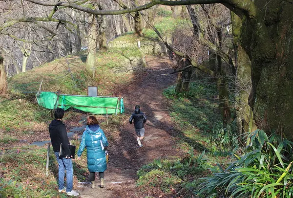 臥牛山・村上城入り口・登山口の写真・動画_image_53743