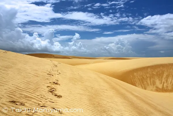Parque Nacional dos Lençóis Maranhensesの写真・動画_image_57586