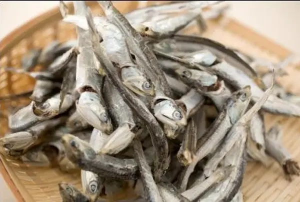 (株)山田海産物の写真・動画_image_61392