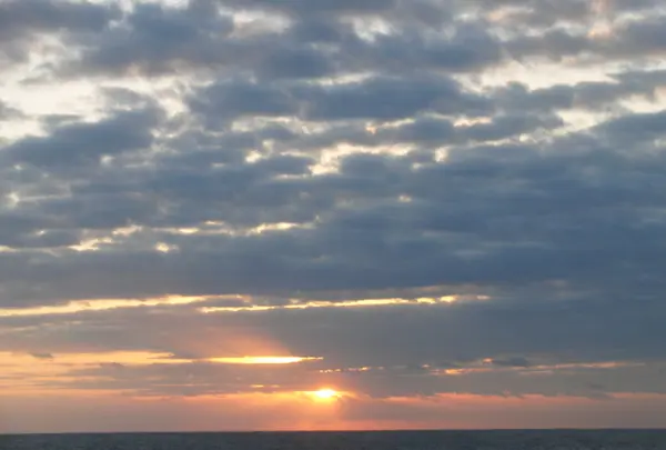 レインボーブリッジの写真・動画_image_62709