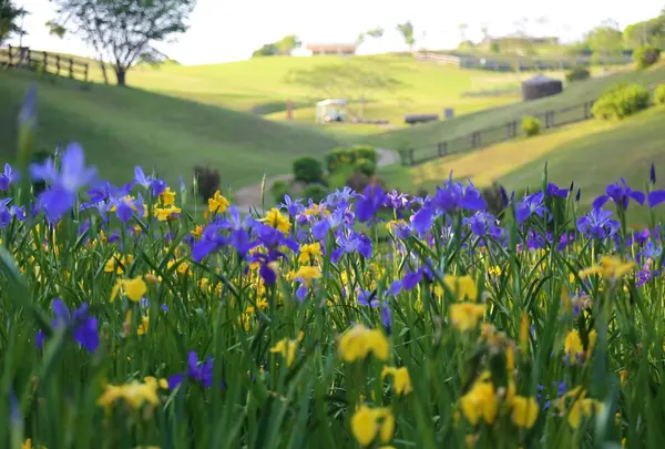 NEMU HOTEL & RESORTの写真・動画_image_63136