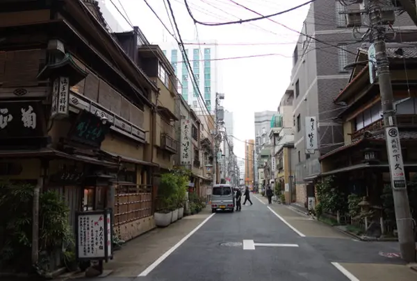 竹むらの写真・動画_image_64864