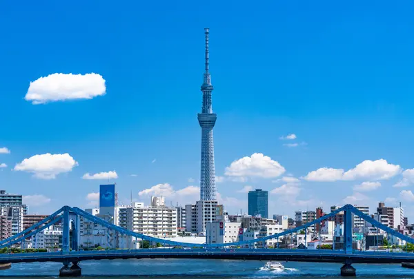 東京スカイツリーの写真・動画_image_1026249