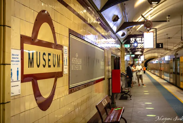 Museum Stationの写真・動画_image_1055180