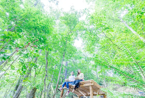 美山町観光協会の写真・動画_image_1079778