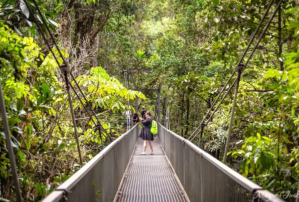 Mossman River Lookout