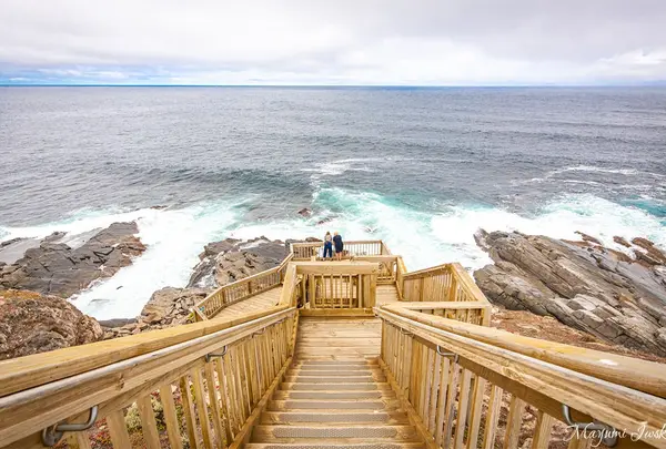 Fur Seal Lookout