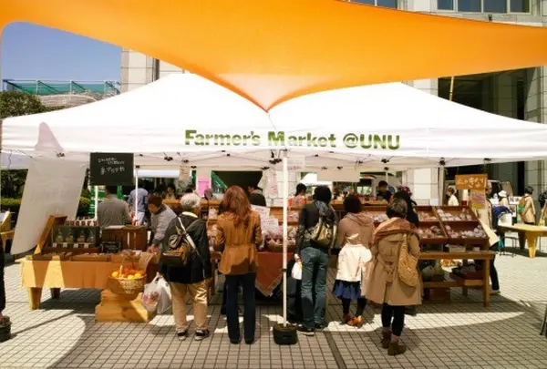 Farmer's Market