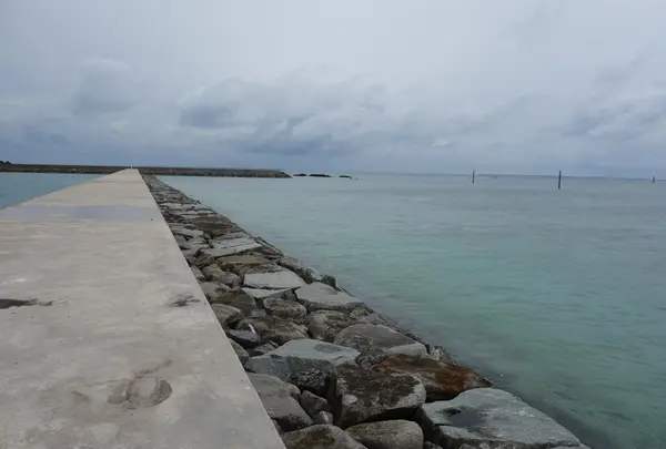 細崎