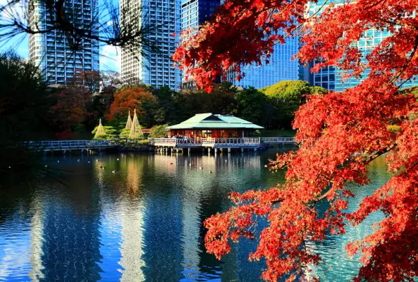 浜離宮恩賜庭園