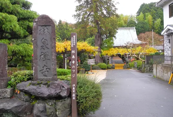 伊東温泉七福神巡り【福禄寿】の写真・動画_image_124840