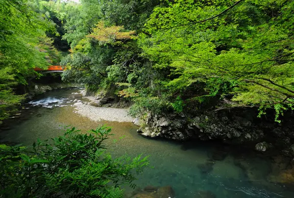 西明寺