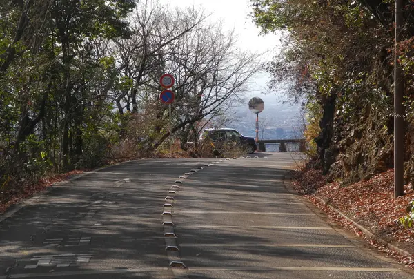 金華山ドライブコースを歩く