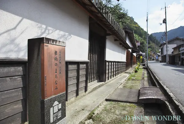 根雨