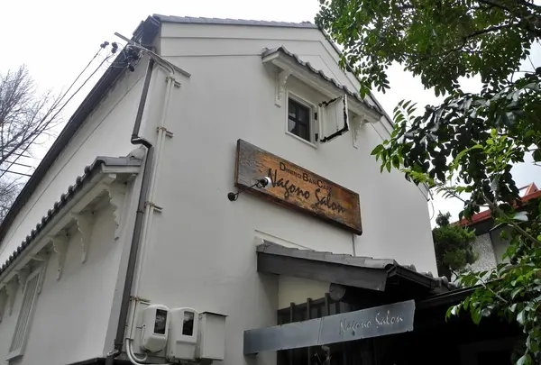 nagono salon