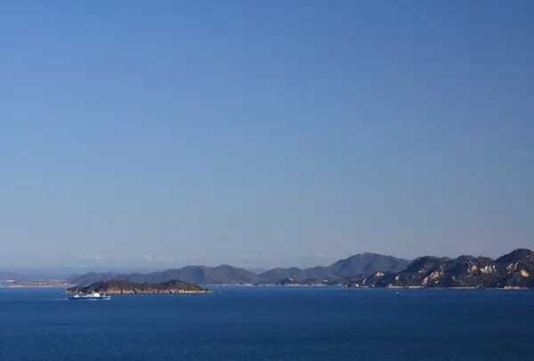 きれいな海！豊富な海藻、魚