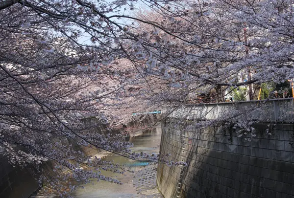 神田川