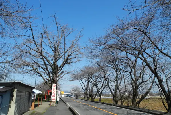 木曽川堤防道路