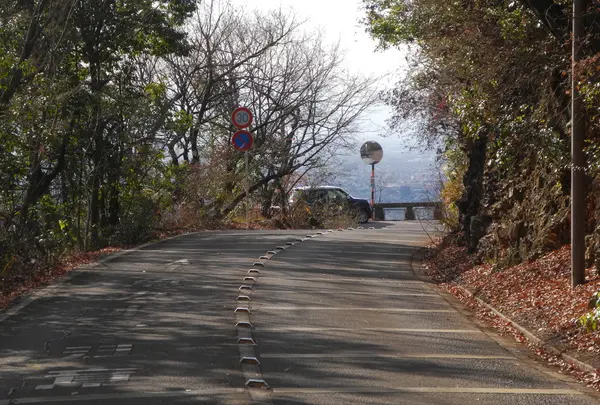金華山ドライブウェイ