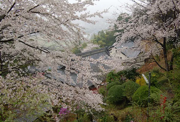 大聖寺（子育観音）