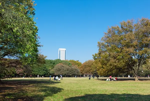 代々木公園
