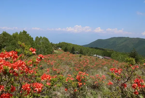 五味池破風高原の写真・動画_image_136006